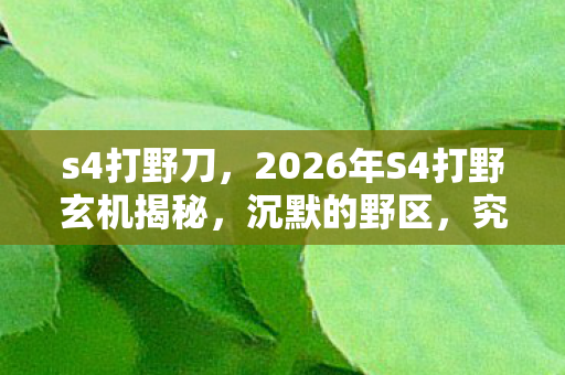 s4打野刀，2026年S4打野玄机揭秘，沉默的野区，究竟藏着什么致命诱惑？