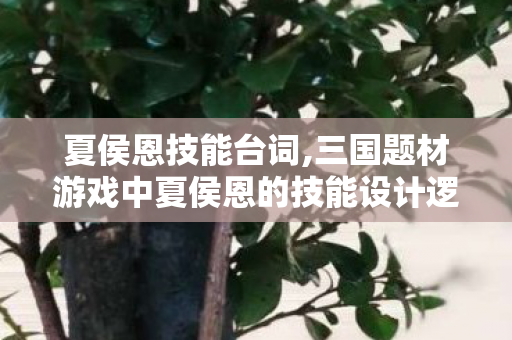 夏侯恩技能台词,三国题材游戏中夏侯恩的技能设计逻辑与实战定位解析