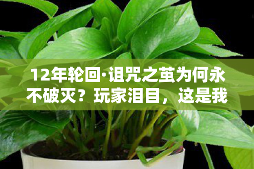 12年轮回·诅咒之茧为何永不破灭?玩家泪目,这是我们最后的家 12年轮回·诅咒之茧为何永不破灭?玩家泪目,这是我们最后的家