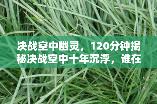 决战空中幽灵,120分钟揭秘决战空中十年沉浮,谁在云端写下未竟诗篇? 决战空中幽灵,120分钟揭秘决战空中十年沉浮,谁在云端写下未竟诗篇?