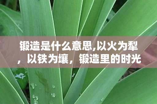 锻造是什么意思,以火为犁,以铁为壤,锻造里的时光与匠心 锻造是什么意思,以火为犁,以铁为壤,锻造里的时光与匠心