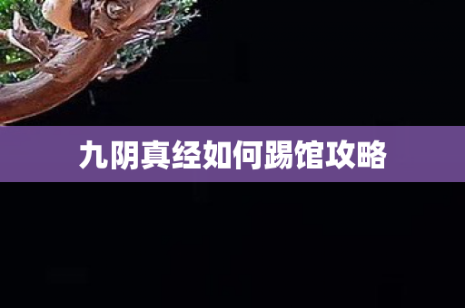 九阴真经如何踢馆攻略图片