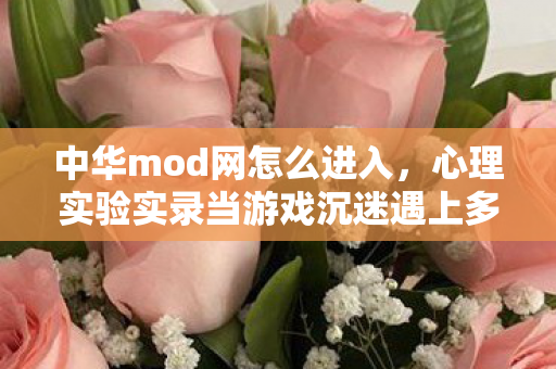 中华mod网怎么进入,心理实验实录当游戏沉迷遇上多巴胺陷阱,中华mod网里的细思极恐操控术 中华mod网怎么进入,心理实验实录当游戏沉迷遇上多巴胺陷阱,中华mod网里的细思极恐操控术