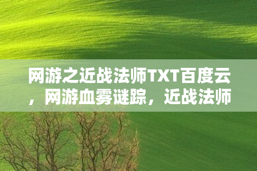 网游之近战法师TXT百度云,网游血雾谜踪,近战法师的千人杀戮与自我消亡悬案 网游之近战法师TXT百度云,网游血雾谜踪,近战法师的千人杀戮与自我消亡悬案