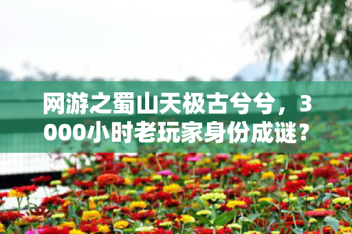 网游之蜀山天极古兮兮,3000小时老玩家身份成谜?蜀山天极里藏着多少心酸往事 网游之蜀山天极古兮兮,3000小时老玩家身份成谜?蜀山天极里藏着多少心酸往事