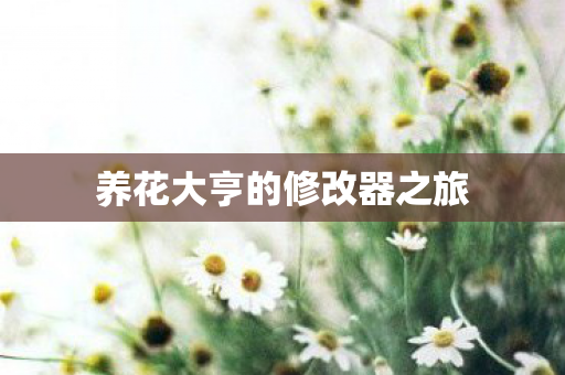 养花大亨的修改器之旅图片