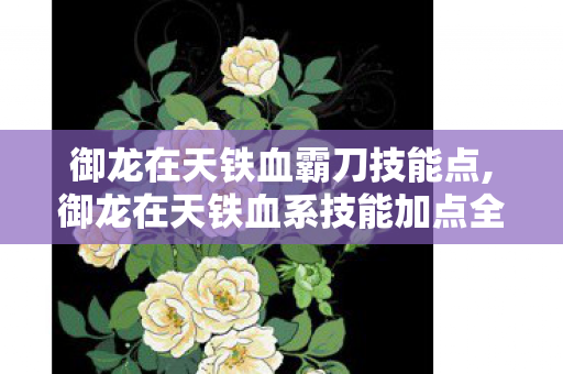 御龙在天铁血霸刀技能点,御龙在天铁血系技能加点全指南,打造能抗能打的战场核心 御龙在天铁血霸刀技能点,御龙在天铁血系技能加点全指南,打造能抗能打的战场核心