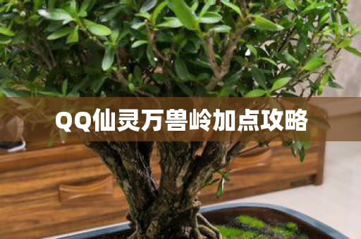 QQ仙灵万兽岭加点攻略图片