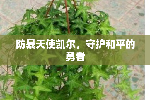 守护和平的勇者图片