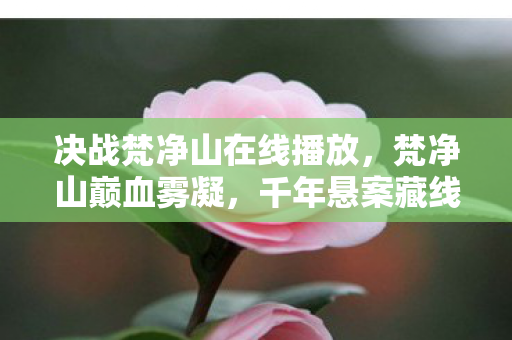 决战梵净山在线播放,梵净山巅血雾凝,千年悬案藏线索,毛骨悚然杀戮局 决战梵净山在线播放,梵净山巅血雾凝,千年悬案藏线索,毛骨悚然杀戮局
