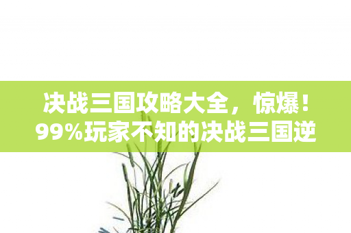 决战三国攻略大全,惊爆!99%玩家不知的决战三国逆天攻略,你离称霸只差这一步? 决战三国攻略大全,惊爆!99%玩家不知的决战三国逆天攻略,你离称霸只差这一步?