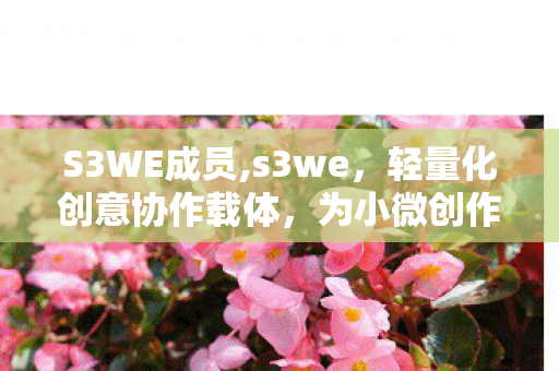S3WE成员,s3we,轻量化创意协作载体,为小微创作团队提效减负 S3WE成员,s3we,轻量化创意协作载体,为小微创作团队提效减负