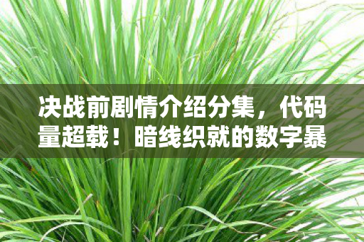 决战前剧情介绍分集,代码量超载!暗线织就的数字暴动,头皮发麻的赛博革命 决战前剧情介绍分集,代码量超载!暗线织就的数字暴动,头皮发麻的赛博革命