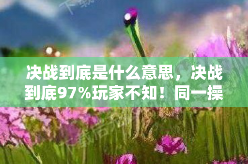 决战到底是什么意思,决战到底97%玩家不知!同一操作在手游/端游/主机竟差出300%体验值? 决战到底是什么意思,决战到底97%玩家不知!同一操作在手游/端游/主机竟差出300%体验值?