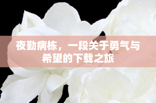 一段关于勇气与希望的下载之旅图片