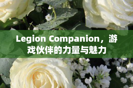 Legion Companion图片