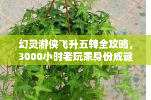 幻灵游侠飞升五转全攻略,3000小时老玩家身份成谜?幻灵游侠飞升背后藏着多少心酸泪 幻灵游侠飞升五转全攻略,3000小时老玩家身份成谜?幻灵游侠飞升背后藏着多少心酸泪