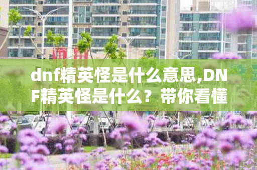 dnf精英怪是什么意思,DNF精英怪是什么?带你看懂阿拉德副本里的特色挑战设定 dnf精英怪是什么意思,DNF精英怪是什么?带你看懂阿拉德副本里的特色挑战设定