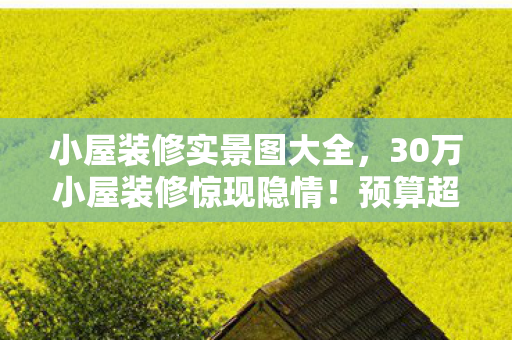 小屋装修实景图大全,30万小屋装修惊现隐情!预算超支真相曝光,吓一跳! 小屋装修实景图大全,30万小屋装修惊现隐情!预算超支真相曝光,吓一跳!