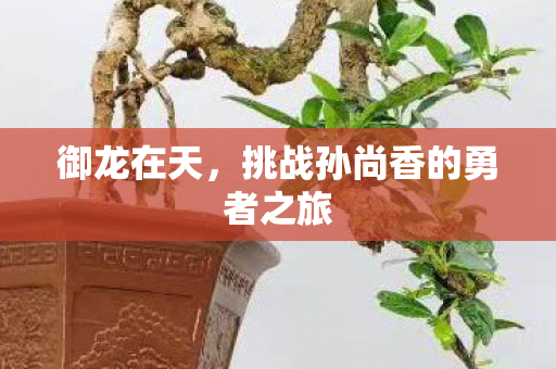 挑战孙尚香的勇者之旅图片
