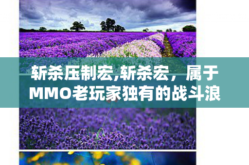 斩杀压制宏,斩杀宏,属于MMO老玩家独有的战斗浪漫印记 斩杀压制宏,斩杀宏,属于MMO老玩家独有的战斗浪漫印记