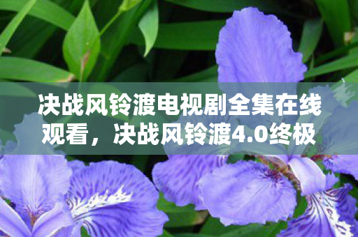 决战风铃渡电视剧全集在线观看，决战风铃渡4.0终极版蹊跷上线！老玩家，这波情怀杀我服了