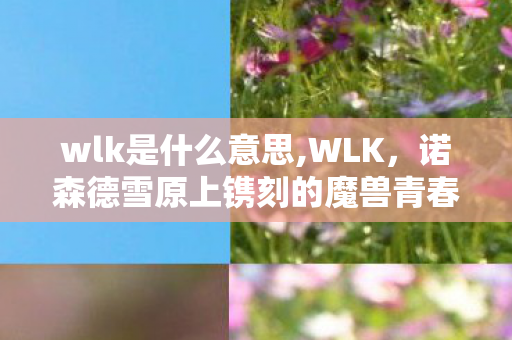 wlk是什么意思,WLK，诺森德雪原上镌刻的魔兽青春印记