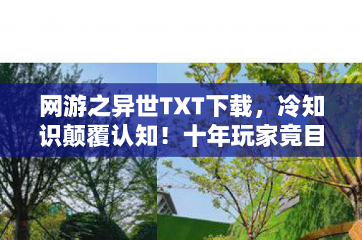 网游之异世TXT下载，冷知识颠覆认知！十年玩家竟目瞪口呆发现新手村都没毕业