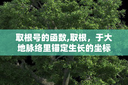 取根号的函数,取根，于大地脉络里锚定生长的坐标