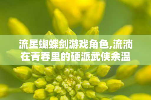流星蝴蝶剑游戏角色,流淌在青春里的硬派武侠余温 流星蝴蝶剑游戏角色,流淌在青春里的硬派武侠余温