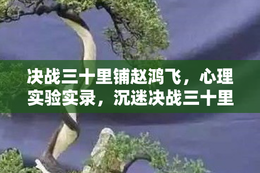决战三十里铺赵鸿飞，心理实验实录，沉迷决战三十里铺的细思极恐自我解构