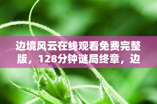 边境风云在线观看免费完整版，128分钟谜局终章，边境风云里那些被代码杀死的玩家，你泪目了吗？