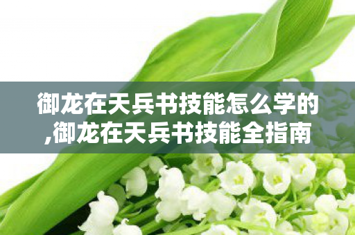 御龙在天兵书技能怎么学的,御龙在天兵书技能全指南,解锁战力跃升的正确打开方式 御龙在天兵书技能怎么学的,御龙在天兵书技能全指南,解锁战力跃升的正确打开方式