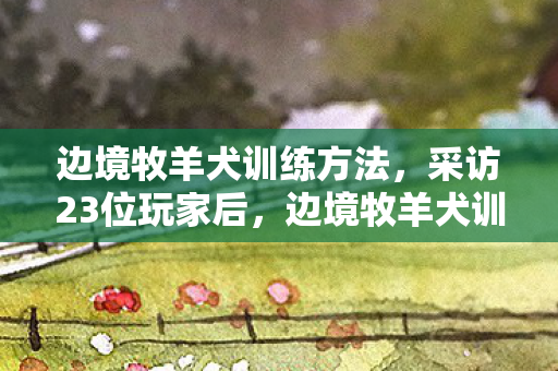 边境牧羊犬训练方法，采访23位玩家后，边境牧羊犬训练的智商税疑点让我当场绷不住！