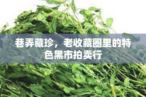 巷弄藏珍，老收藏圈里的特色黑市拍卖行
