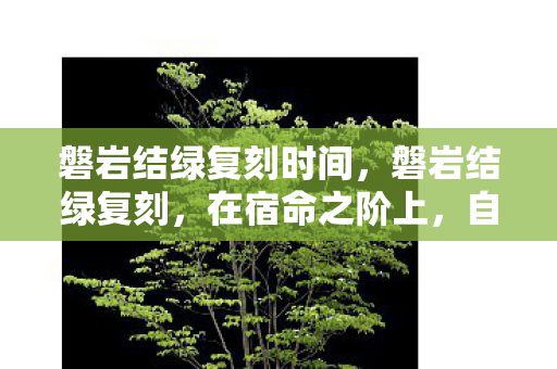 磐岩结绿复刻时间,磐岩结绿复刻,在宿命之阶上,自由是永恒的悖论震颤 磐岩结绿复刻时间,磐岩结绿复刻,在宿命之阶上,自由是永恒的悖论震颤