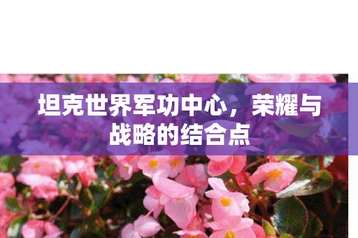荣耀与战略的结合点图片