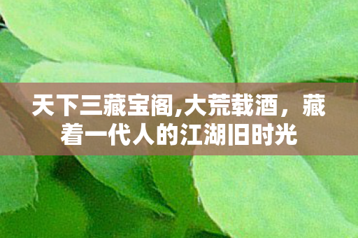 天下三藏宝阁,大荒载酒，藏着一代人的江湖旧时光