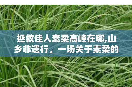 拯救佳人素柔高峰在哪,山乡非遗行，一场关于素柔的温柔拯救