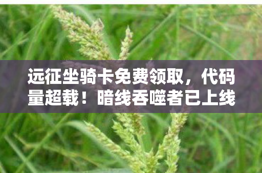 远征坐骑卡免费领取，代码量超载！暗线吞噬者已上线，你的神经末梢在头皮发麻吗？