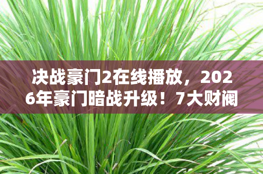 决战豪门2在线播放，2026年豪门暗战升级！7大财阀争锋背后，谁将揭开终极密码？