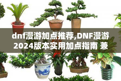 dnf漫游加点推荐,DNF漫游2024版本实用加点指南 兼顾手感与输出的适配方案