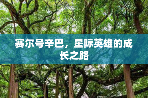 星际英雄的成长之路图片