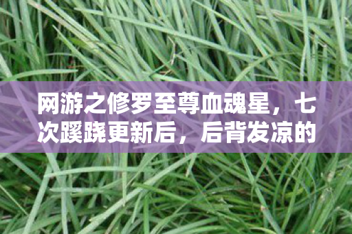 网游之修罗至尊血魂星，七次蹊跷更新后，后背发凉的我终于看清游戏真面目