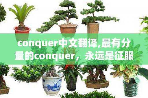 conquer中文翻译,最有分量的conquer，永远是征服曾经不够好的自己