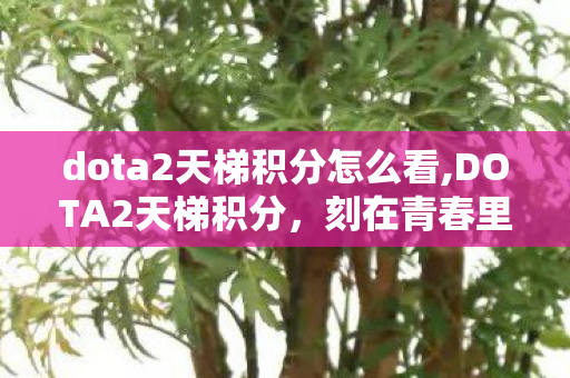 dota2天梯积分怎么看,DOTA2天梯积分，刻在青春里的专属游戏勋章