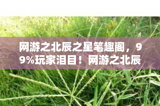 网游之北辰之星笔趣阁,99%玩家泪目!网游之北辰之星3大隐藏剧情让我破防了 网游之北辰之星笔趣阁,99%玩家泪目!网游之北辰之星3大隐藏剧情让我破防了