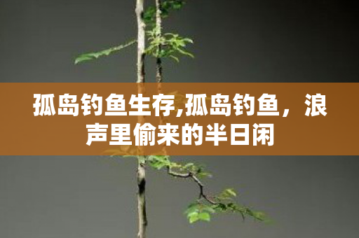 孤岛钓鱼生存,孤岛钓鱼，浪声里偷来的半日闲