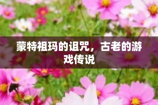 蒙特祖玛的诅咒图片