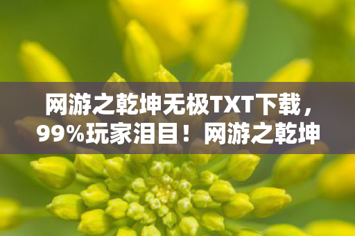 网游之乾坤无极TXT下载，99%玩家泪目！网游之乾坤无极3大逆天设定让我彻底破防
